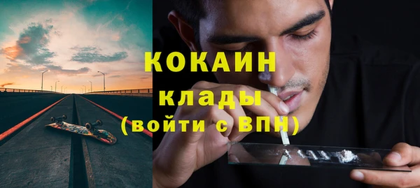 соль ск Алексин