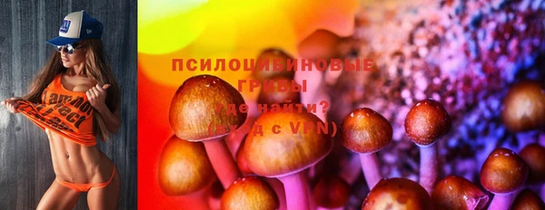 соль ск Алзамай
