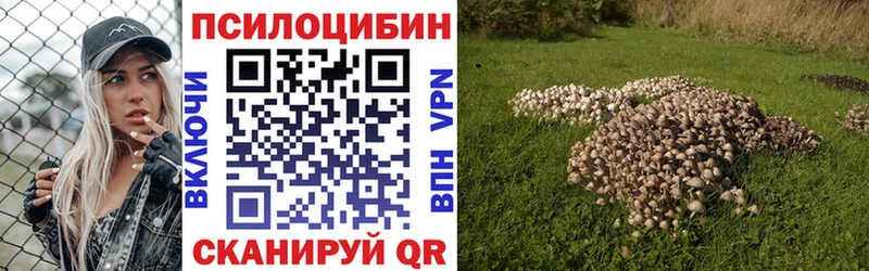 блэк спрут как войти  Черноголовка  Псилоцибиновые грибы мухоморы 