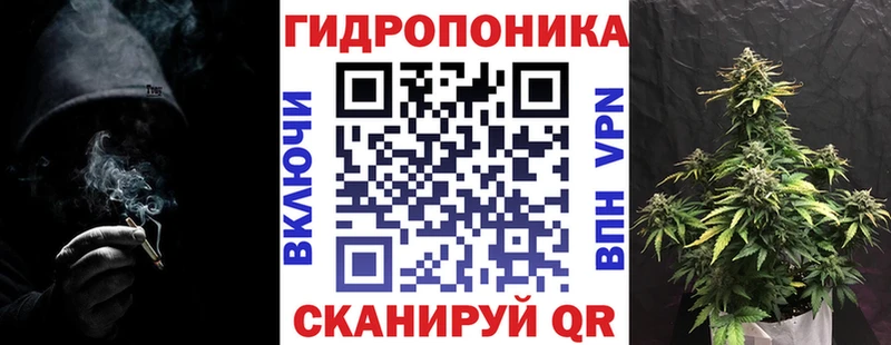 ссылка на мегу вход  Черноголовка  Конопля Amnesia 